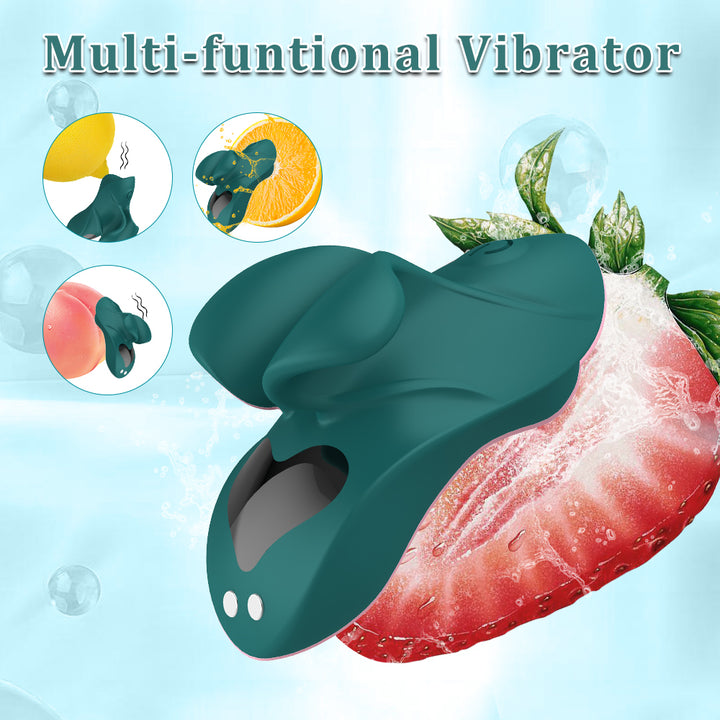 Vibrator Stimulation Klitoris Vagina GM-432