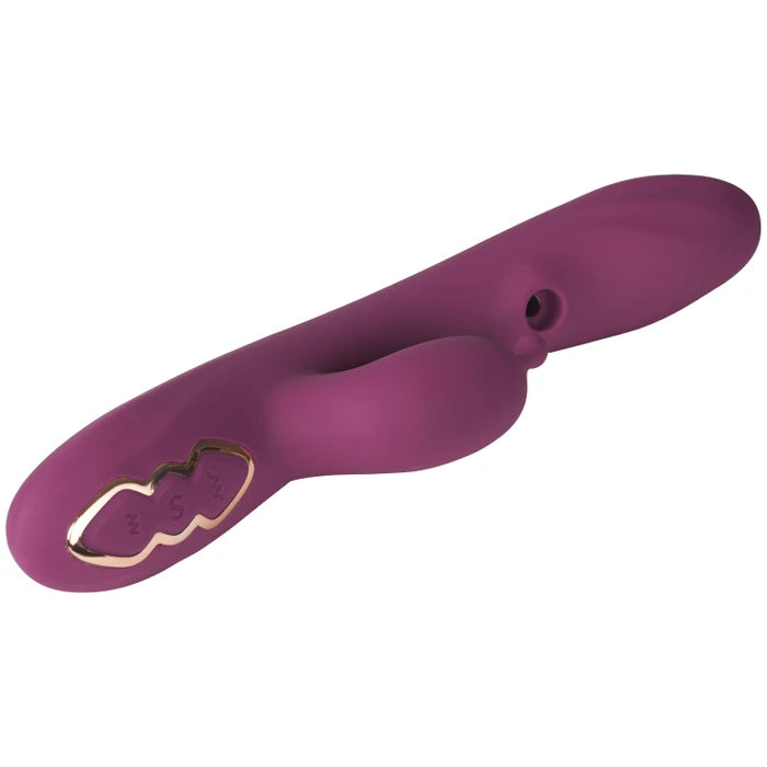 Lila Vibrator mit Doppelstimulation